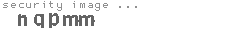 security image
