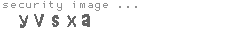 security image