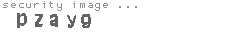 security image