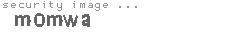 security image