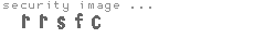 security image