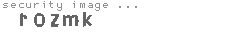security image