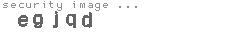 security image