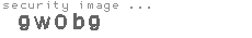 security image