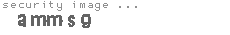 security image