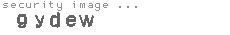 security image