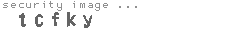 security image