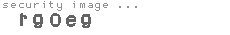 security image