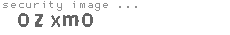 security image