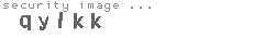 security image