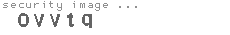 security image