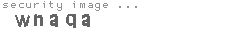 security image