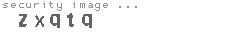 security image
