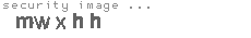 security image