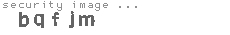 security image