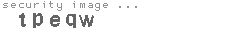 security image