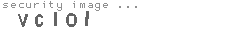 security image