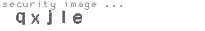 security image