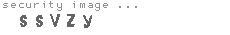 security image