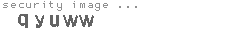 security image