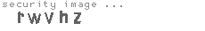 security image