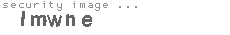 security image