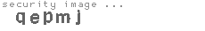 security image
