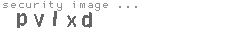 security image