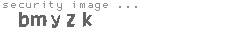 security image