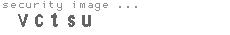 security image
