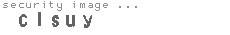 security image
