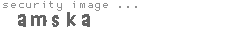 security image