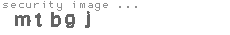 security image