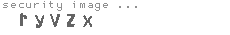 security image