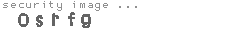 security image
