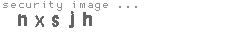 security image