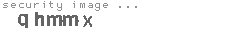 security image
