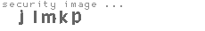 security image