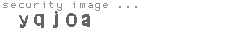 security image