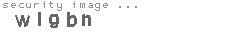security image
