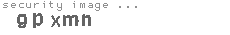 security image