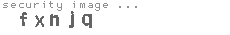 security image