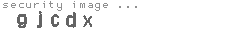 security image
