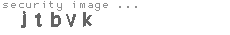security image