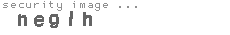 security image