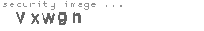 security image