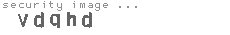 security image