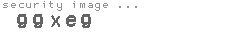 security image