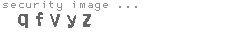 security image