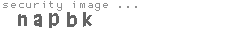 security image